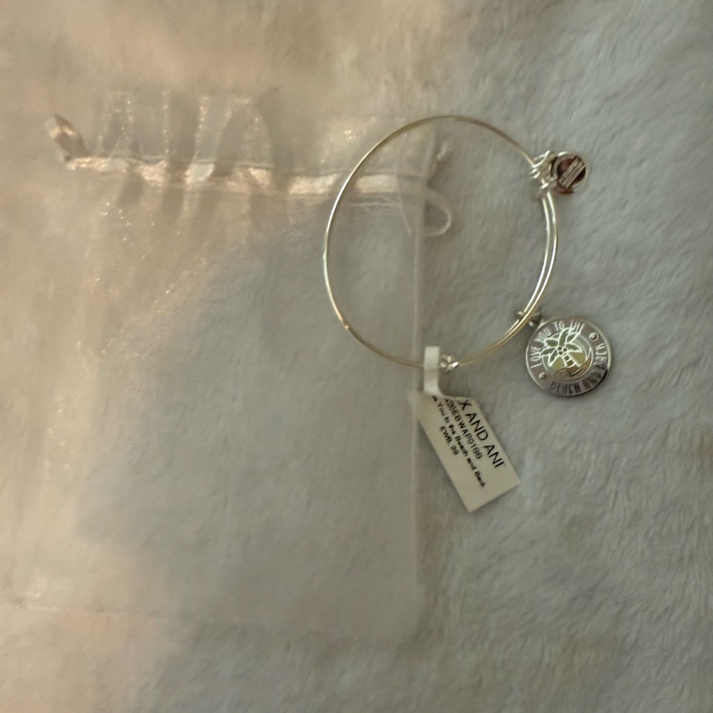 Alex and Ani Silver Bangle with Charms